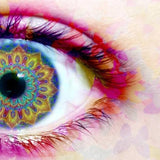 Grades 6/7 School-Year Program Sept 7-May 28